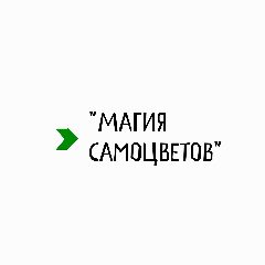 Канал Магия Самоцветов в мессенджере MAX — 615 подписчиков