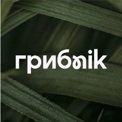 Канал БИОХАКИНГ🧠 I ГРИБNIK™ в мессенджере MAX — 2 083 подписчика