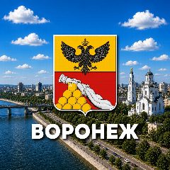 Канал Воронеж сейчас в мессенджере MAX — 2 041 подписчик