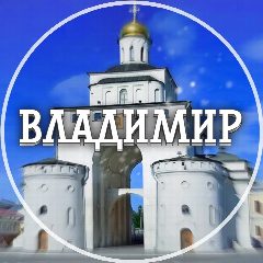 Канал Голос Владимира в мессенджере MAX — 3 001 подписчик