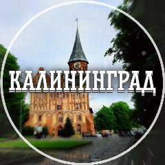 Канал Голос Калининграда в мессенджере MAX — 3 807 подписчиков