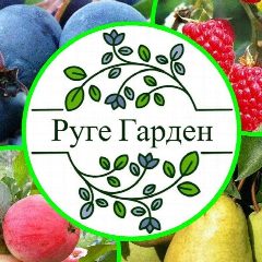 Канал Питомник растений Руге Гарден/Рефтинский в мессенджере MAX — 234 подписчика