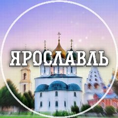 Канал Голос Ярославля в мессенджере MAX — 3 613 подписчиков
