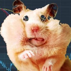 Канал Биржа, деньги, хомяки в мессенджере MAX — 1 578 подписчиков
