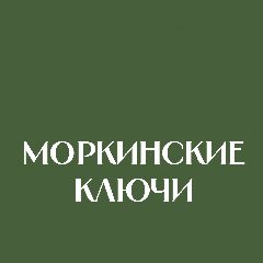 Канал Моркинские ключи в мессенджере MAX — 375 подписчиков