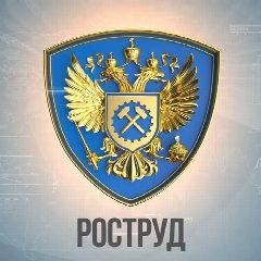 Канал Новости Роструда в мессенджере MAX — 542 подписчика