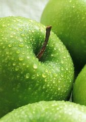 Канал ПП рецепты🍏Рационы🍏Фитнес в мессенджере MAX — 1 430 подписчиков