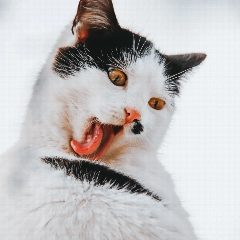 Канал Khriss_serg_photo в мессенджере MAX — 18 подписчиков