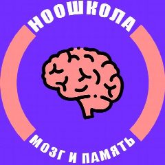 Канал НооМозг Пн, Чт, 15:00 Некрасовка в мессенджере MAX — 28 подписчиков
