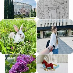 Канал 🎨🐰Творческий кролик🐰🎨 в мессенджере MAX — 1 565 подписчиков