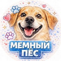 Канал МЕМНЫЙ ПЁС в мессенджере MAX — 791 подписчик