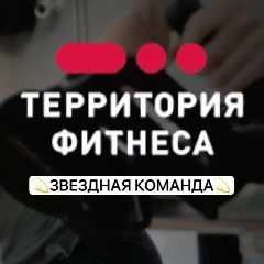 Канал ✨ЗВЕЗДНАЯ КОМАНДА ТЕРФИТ ✨ в мессенджере MAX — 73 подписчика