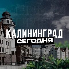 Канал Калининград Сегодня в мессенджере MAX — 1 528 подписчиков