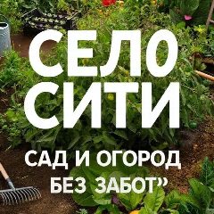 Канал Село Сити|сад и огород без забот в мессенджере MAX — 231 подписчик