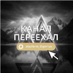 Канал Платформа «Дигория» в мессенджере MAX — 186 подписчиков