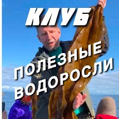 Канал ВОДОРОСЛИ ДЛЯ ЗДОРОВЬЯ. КЛУБ VERTERA в мессенджере MAX — 246 подписчиков