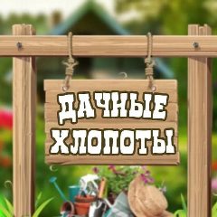 Канал СЕМЕНА САЖЕНЦЫ в мессенджере MAX — 537 подписчиков
