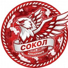 Канал Команда "Итатский Сокол" в мессенджере MAX — 503 подписчика