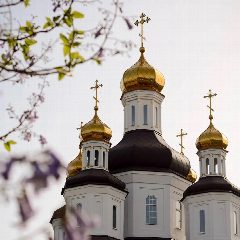 Канал Свято Владимирский храм в мессенджере MAX — 459 подписчиков