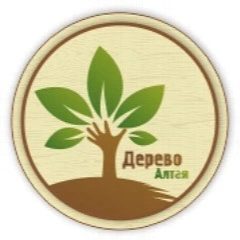 Канал СМ «Дерево-А» в мессенджере MAX — 337 подписчиков