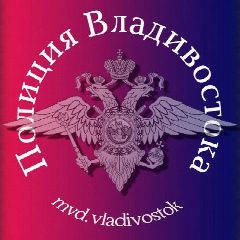 Канал mvd.vladivostok в мессенджере MAX — 88 подписчиков