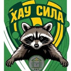 Канал ССК "ХАУ СИЛА" в мессенджере MAX — 68 подписчиков