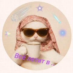 Канал Всё идёт по плану 👌 в мессенджере MAX — 5 449 подписчиков