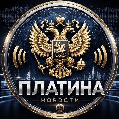 Канал ПЛАТИНА⚡️ в мессенджере MAX — 27 026 подписчиков