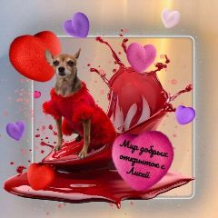Канал Мир добрых открыток с Лисей💞 в мессенджере MAX — 1 639 подписчиков