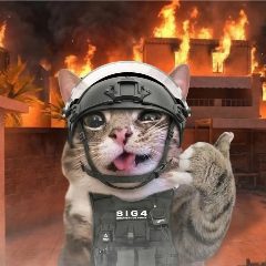 Канал ПРОМОКОДЫ STANDOFF 2 в мессенджере MAX — 9 869 подписчиков