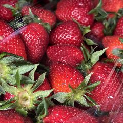 Канал НекислО 🍓🫐🥝 Подольск в мессенджере MAX — 35 подписчиков