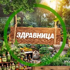 Канал ЗДРАВНИЦА в мессенджере MAX — 3 469 подписчиков