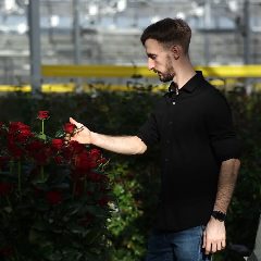 Канал Питомник растений ЛАКИ в мессенджере MAX — 63 подписчика