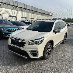Канал Subaru Forester 137116 в мессенджере MAX — 10 подписчиков