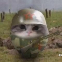 Канал Промокод в мессенджере MAX — 1 262 подписчика