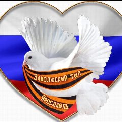 Канал ВД "Заволжский тыл" г.Ярославль. в мессенджере MAX — 169 подписчиков