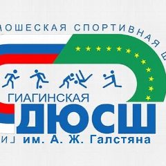 Канал Гиагинская ДЮСШ им. А.Ж. Галстяна в мессенджере MAX — 153 подписчика