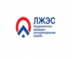 Канал ЛЖЭС в мессенджере MAX — 46 подписчиков