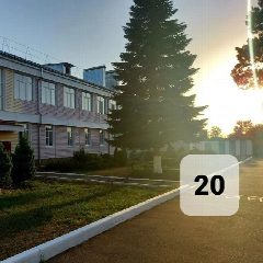 Канал МБДОУ «Детский сад №20 «Ромашка» в мессенджере MAX — 65 подписчиков