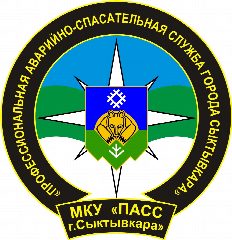 Канал МКУ "ПАСС г.Сыктывкара" в мессенджере MAX — 16 подписчиков