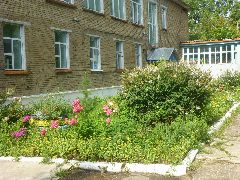 Канал Детский сад № 8 г. Емвы в мессенджере MAX — 129 подписчиков