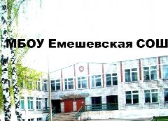 Канал МБОУ Емешевская средняя общеобразовательная школа в мессенджере MAX — 231 подписчик
