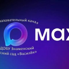 Канал МДОБУ "Знаменский детский сад "Василёк" в мессенджере MAX — 179 подписчиков