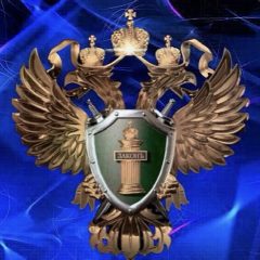 Канал Прокуратура Республики Марий Эл в мессенджере MAX — 437 подписчиков