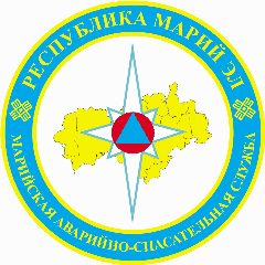 Канал Марийская аварийно-спасательная служба в мессенджере MAX — 172 подписчика