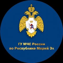 Канал МЧС Республики Марий Эл в мессенджере MAX — 790 подписчиков