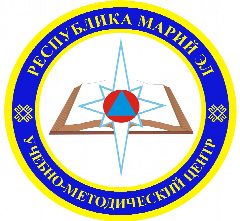 Канал РГКУ ДПО "УМЦ ЭБ и ЗН" в мессенджере MAX — 13 подписчиков