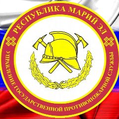 Канал Государственная противопожарная служба РМЭ в мессенджере MAX — 200 подписчиков