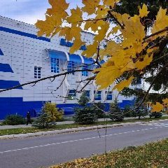 Канал Бассейн "Волга" в мессенджере MAX — 20 подписчиков