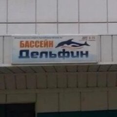 Канал Плавательный бассейн "Дельфин" в мессенджере MAX — 47 подписчиков